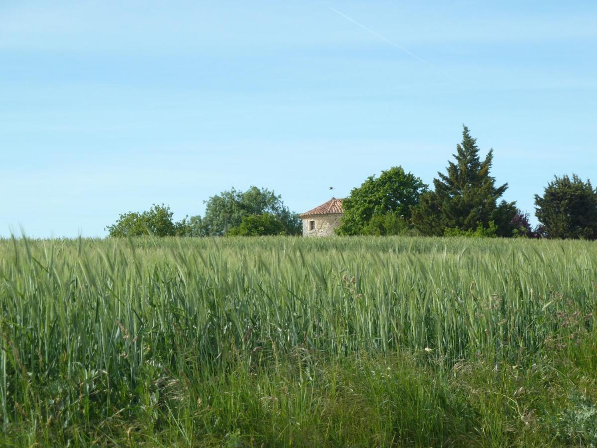 Chateau De Puissentut Bed & Breakfast Homps  ภายนอก รูปภาพ