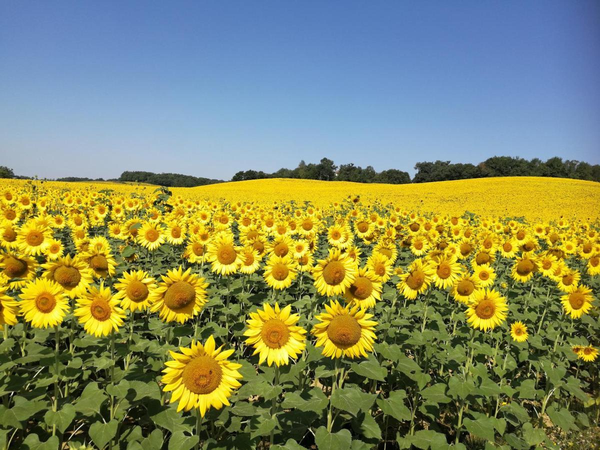Chateau De Puissentut Bed & Breakfast Homps  ภายนอก รูปภาพ